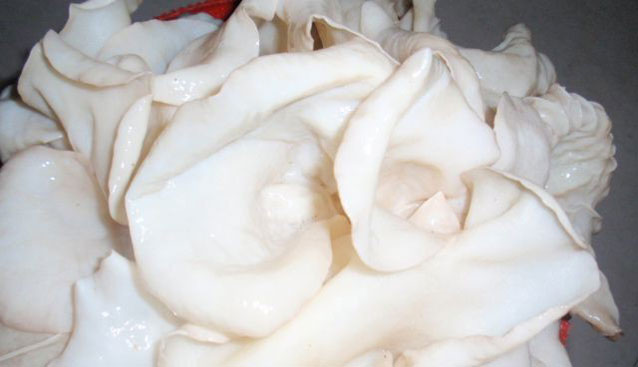 四川金堂鹽漬食用菌產(chǎn)品俏銷