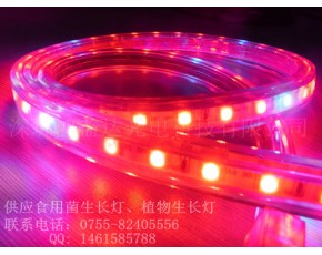 供應(yīng)鴻益達(dá)LED植物生長(zhǎng)燈、植物燈帶、植物補(bǔ)光燈條