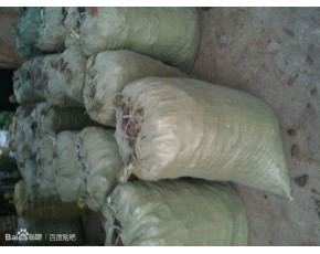購(gòu)銷(xiāo)雙孢菇原材料