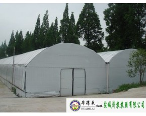 食用菌專(zhuān)用黑白膜
