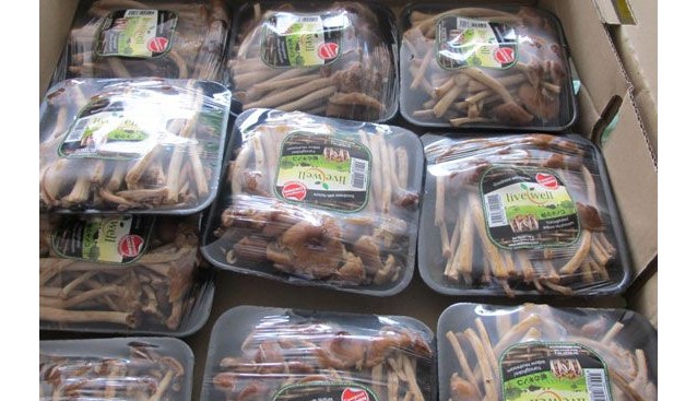 新加坡食用菌產(chǎn)品市場考察記