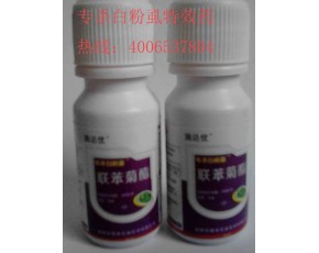 防治薊馬、白粉虱有什么特效藥 專殺薊馬、白粉虱殺蟲劑