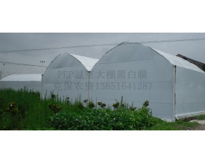 黑白膜
