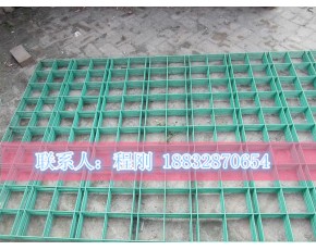 安平光久供應蘑菇養(yǎng)殖網(wǎng)，菌類養(yǎng)殖網(wǎng)格