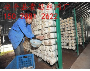 食用菌網(wǎng)格網(wǎng)架，出菇房網(wǎng)格，蘑菇網(wǎng)片
