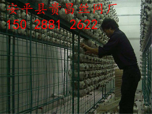 食用菌網(wǎng)格網(wǎng)架，出菇房網(wǎng)格，蘑菇網(wǎng)片
