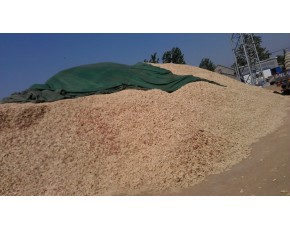 山東玉米芯，玉米芯顆粒