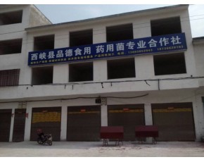 河南省西峽縣品德菌種廠常年對外產(chǎn)銷各種食用菌