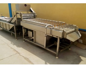 羅漢果清洗機(jī)，羅漢果清洗機(jī)廠家，果蔬加工設(shè)備