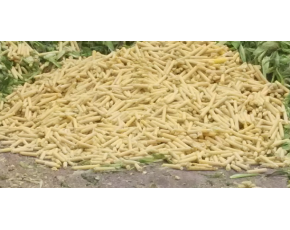 提高超甜玉米芯，玉米殼