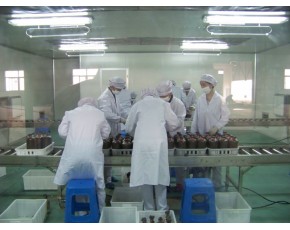 食用菌標(biāo)準(zhǔn)凈化廠房
