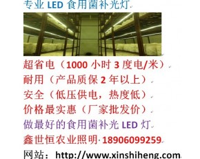 LED食用菌補光燈