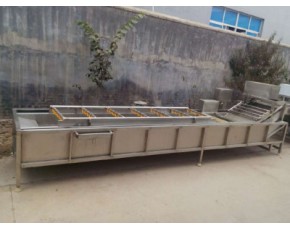 香菇清洗機(jī)，蘑菇加工流水線