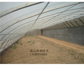 供應(yīng)簡(jiǎn)易拱棚晉城專業(yè)建造鋼結(jié)構(gòu)大棚