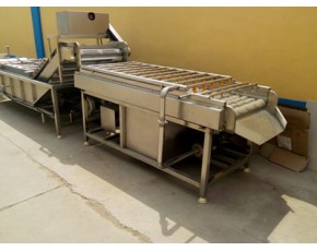 茭白清洗機(jī)，毛輥清洗機(jī)，蔬菜清洗機(jī)廠家