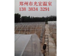 周口連棟薄膜大棚價(jià)格連棟大棚造價(jià)鄭州光宏