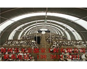 滄州溫室大棚建造標(biāo)準(zhǔn)養(yǎng)殖大棚建造成本