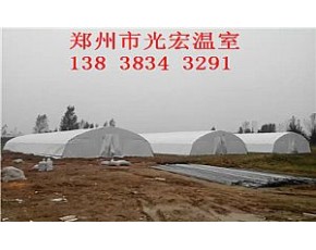 養(yǎng)殖大棚建造陽(yáng)泉食用菌大棚建造成本