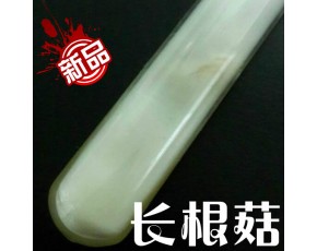 食用菌菌種 長根菇試管種 母種 一級(jí)種 猴蘑 猴頭 猴菇