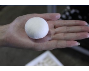大量新鮮草菇、雙孢菇、白菇供應(yīng)