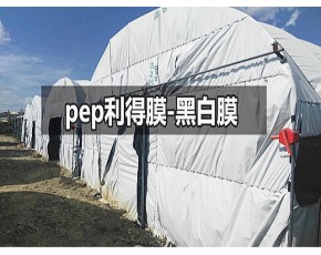 pep利得膜系列黑白膜