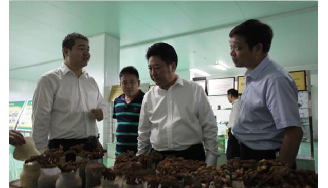 河南：省農(nóng)業(yè)廳廳長(zhǎng)宋虎振到河南世紀(jì)香食用菌公司調(diào)研