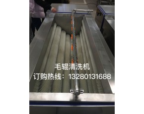 毛輥清洗機(jī)