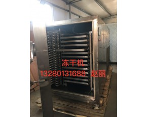 廠家出售真空低溫凍干機(jī)，銀耳多功能凍干設(shè)備花菇冷凍干燥機(jī)