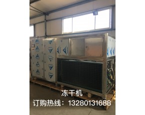 廠家出售真空低溫凍干機(jī)，冬蟲夏草真空冷凍干燥機(jī)，鹿茸凍干設(shè)備