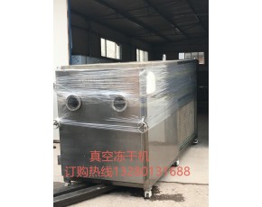 廠家直銷(xiāo) 羊肚菌真空凍干機(jī)，黃花菜，白靈菇真空凍干機(jī)