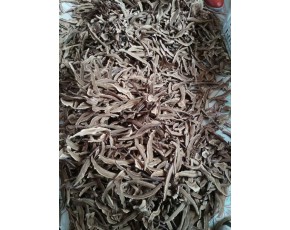 靈芝切片