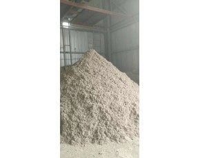 新疆南北疆優(yōu)質(zhì)棉殼棉籽