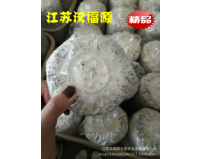 黑皮雞樅菌包，好品質、高產(chǎn)量、大收獲