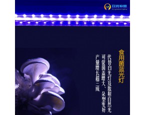 食用菌補光燈