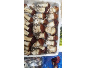 云南供應(yīng)鮮品大球蓋、常年供應(yīng)泉水干品木耳 