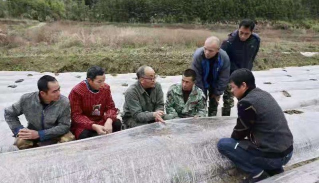 全國脫貧攻堅先進個人、順昌縣科技特派員高允旺指導大田竹蓀田間管理