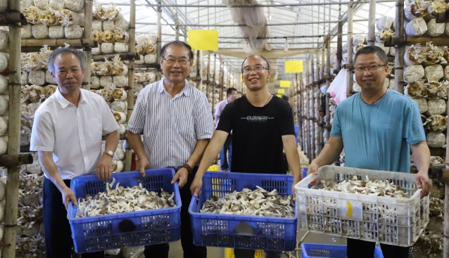 廣西食用菌研究所科技先鋒隊前往平樂縣葆華農(nóng)業(yè)公司開展產(chǎn)業(yè)調(diào)研指導(dǎo)工作