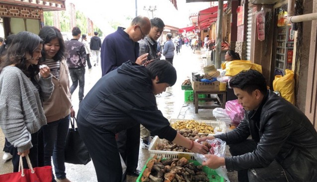 四川省康定市郭達(dá)農(nóng)貿(mào)市場(chǎng)牛肝菌、白菌等野生食用菌已小批量上市
