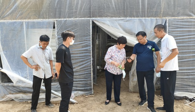 河南省清豐縣食用菌產(chǎn)業(yè)服務(wù)中心工作人員深入基地查看項(xiàng)目建設(shè)進(jìn)度