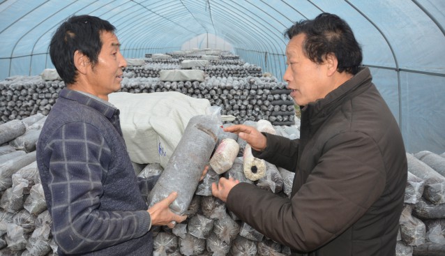 湖北省隨州市：集中制棒 便利菇農(nóng)