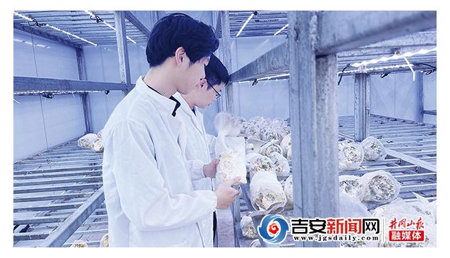 江西省萬安縣順峰鄉(xiāng)開展食用菌科研實踐活動 帶動群眾增收致富