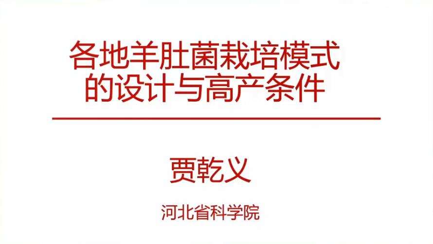 各地羊肚菌栽培模式的設(shè)計與高產(chǎn)條件-賈乾義老師