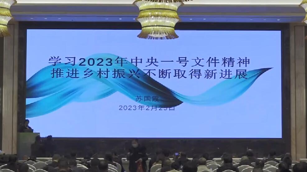 蘇國霞：學(xué)習(xí)2023年中央一號文件精神推進(jìn)鄉(xiāng)村振興不斷取得新進(jìn)展