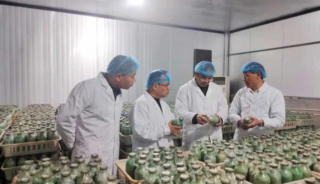 食用菌專家技術(shù)指導(dǎo)昊陽(yáng)農(nóng)業(yè)