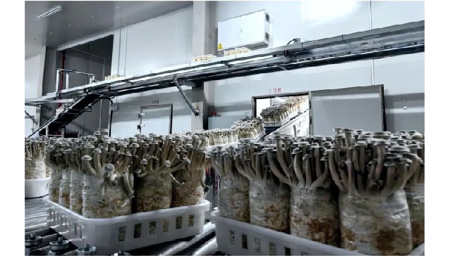 鴻升生物申請新三板掛牌，掛牌股份總量為31,168,800股