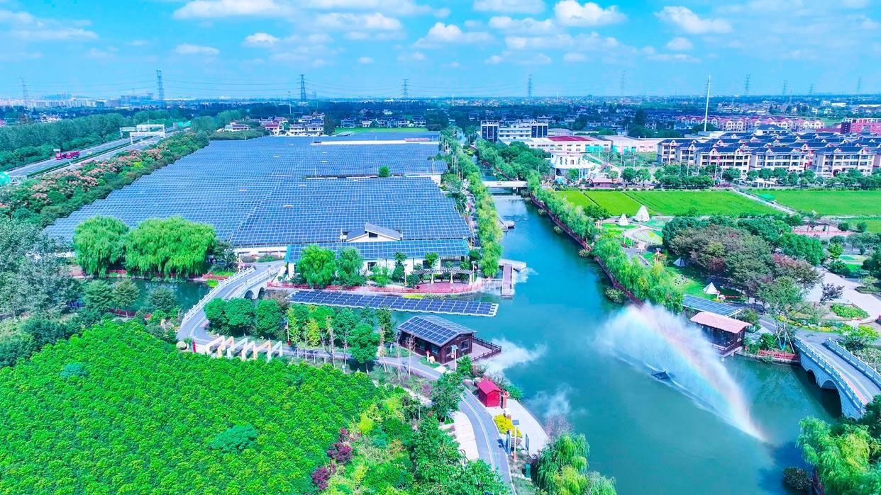 從養(yǎng)豬到種菇，浙江海寧鄉(xiāng)村實(shí)現(xiàn)綠色蛻變