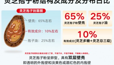 去壁 vs 破壁靈芝孢子粉：從藥動(dòng)學(xué)角度看吸收優(yōu)勢