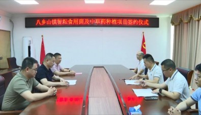 總投資5000萬元，食用菌及中草藥種植項目簽約落地