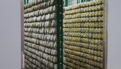 全智能化廠房種秀珍菇，年營業(yè)額突破1億元